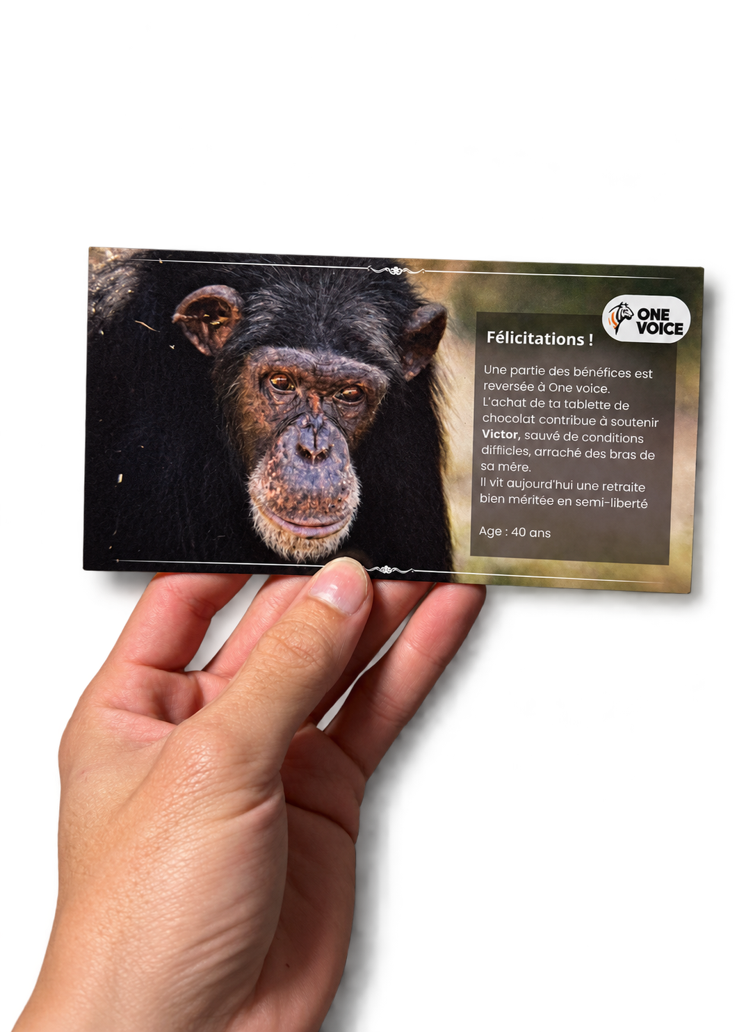 Singe - Tablette de chocolat noir